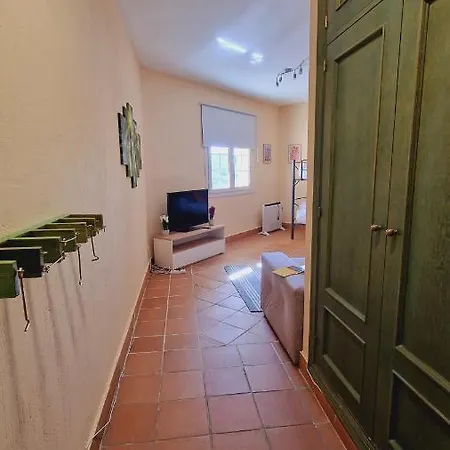 Imeda Estudio Salvia * Sierra Nevada