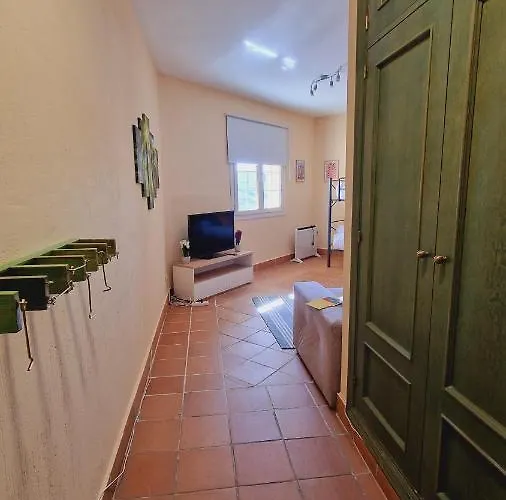 Imeda Estudio Salvia * Sierra Nevada